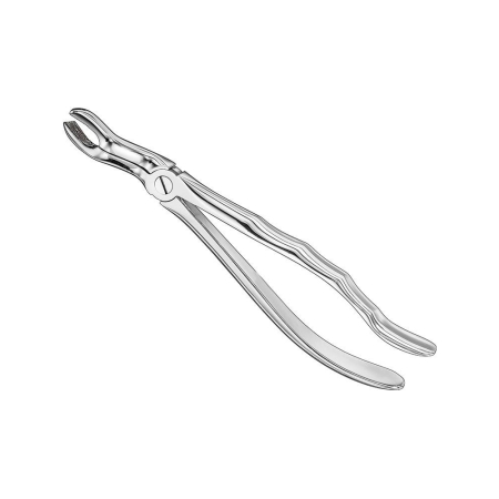 Extracting forceps, engl
